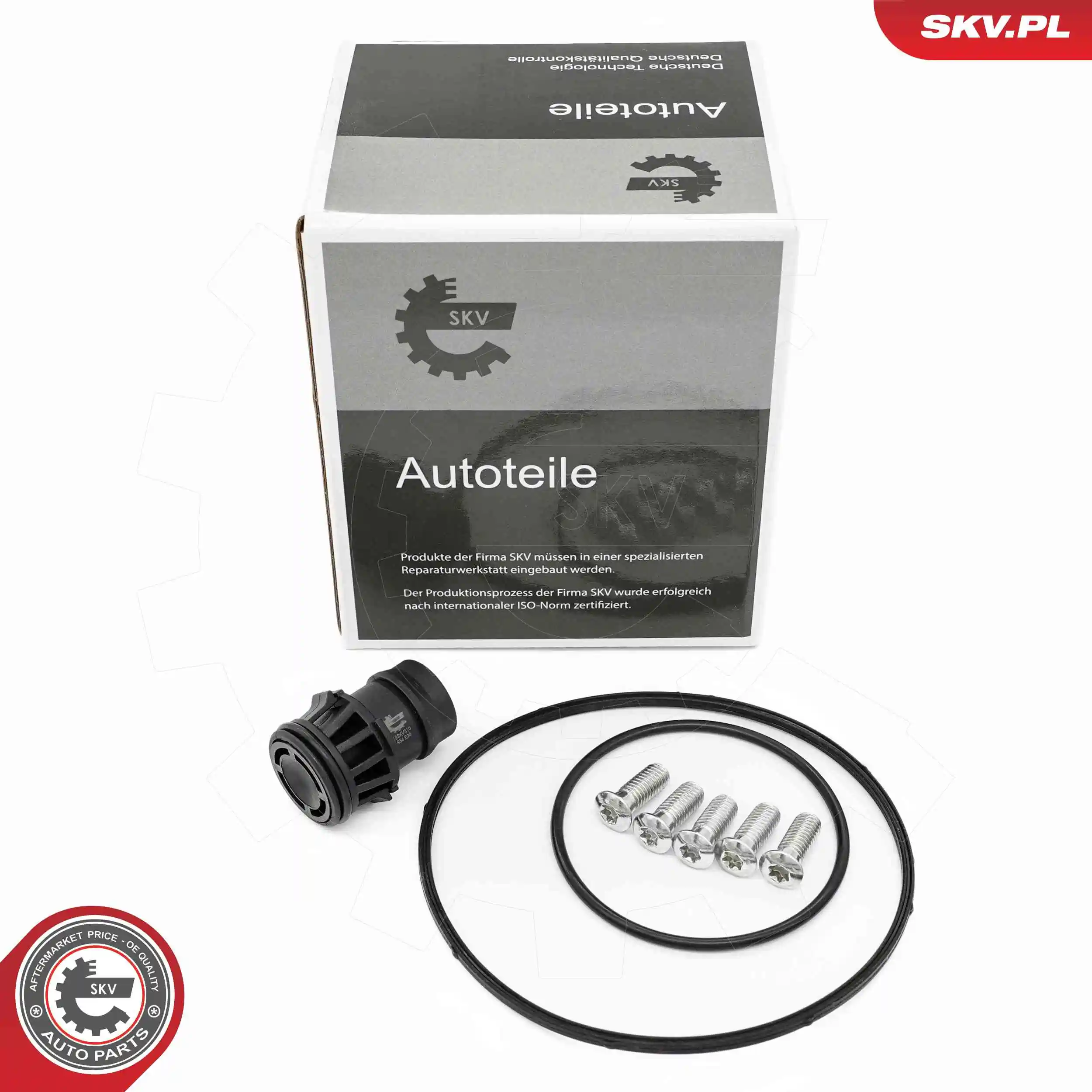 Repair Set, vacuum pump (braking system)